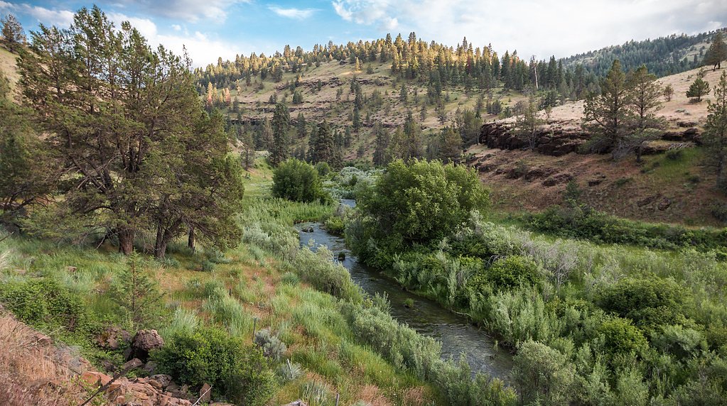 North Fork Falls waterfall