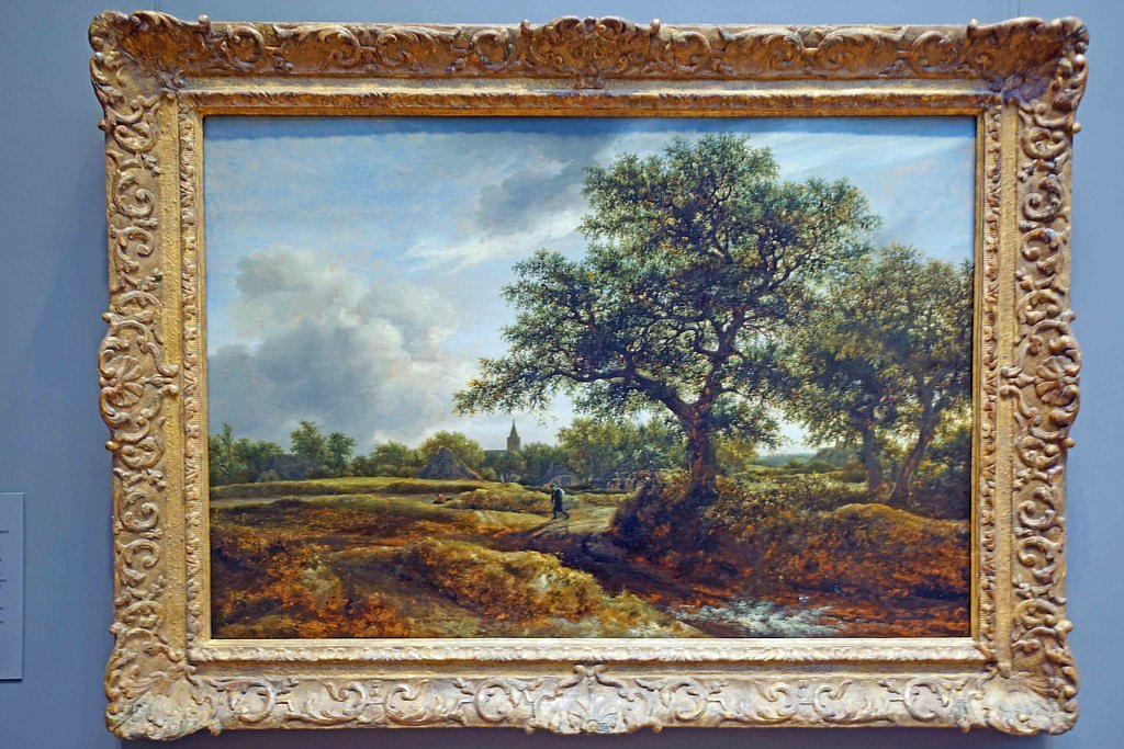 Oak Tree Falls waterfall