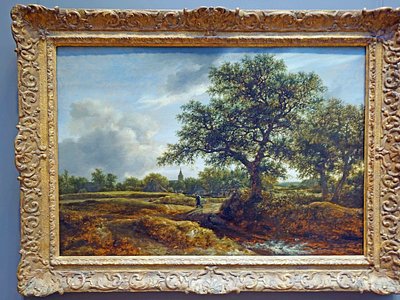 Oak Tree Falls