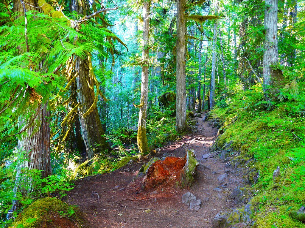 Obsidian Falls waterfall