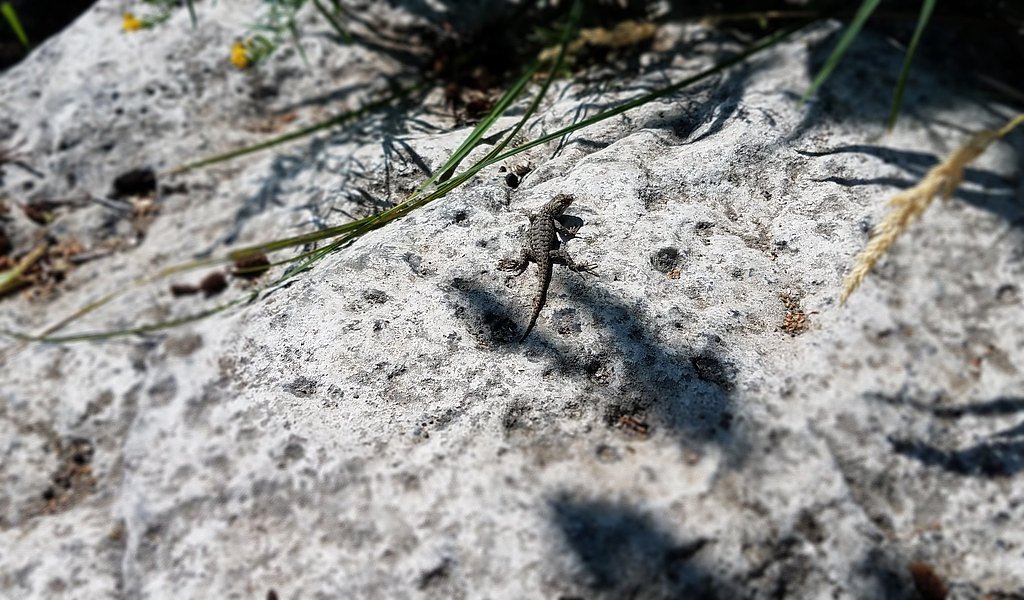 Odin Falls waterfall