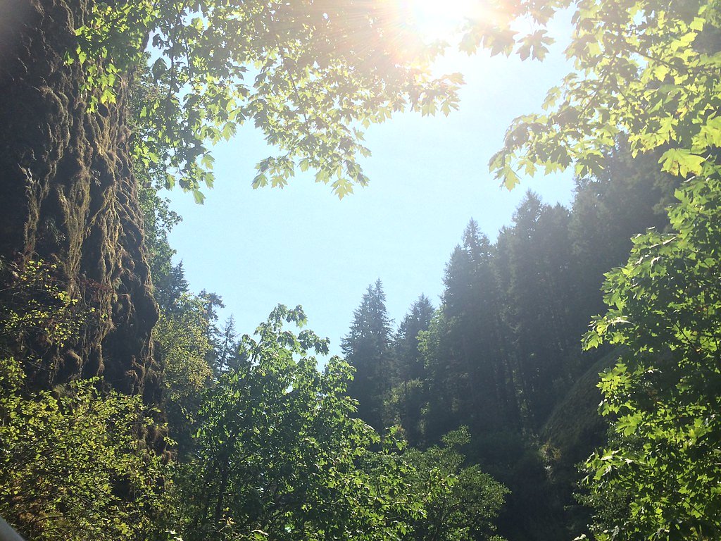 Oneonta Falls waterfall