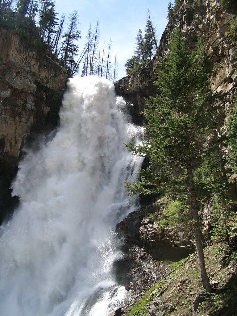 Osprey Falls waterfall