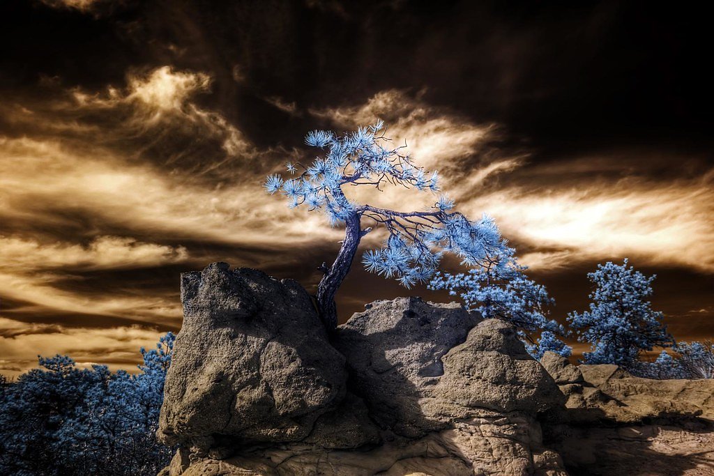 Outlet Falls waterfall