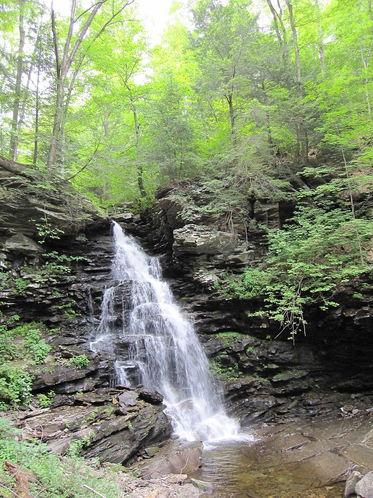 Ozone Falls waterfall