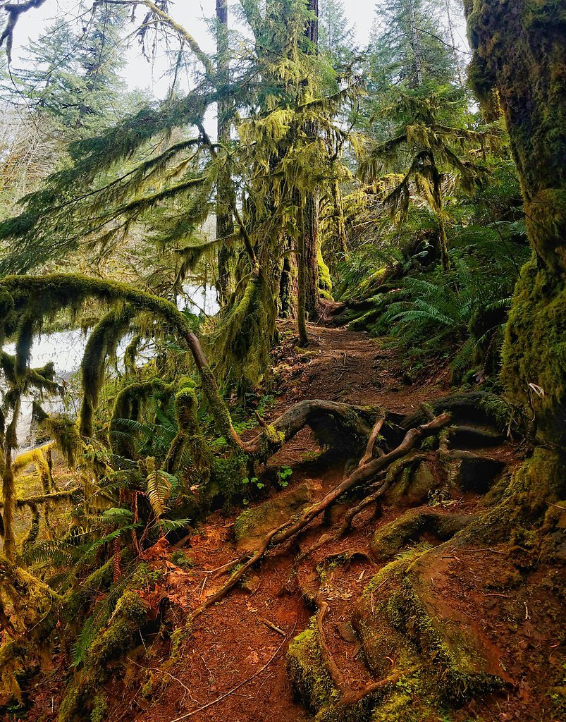 Painter Falls waterfall