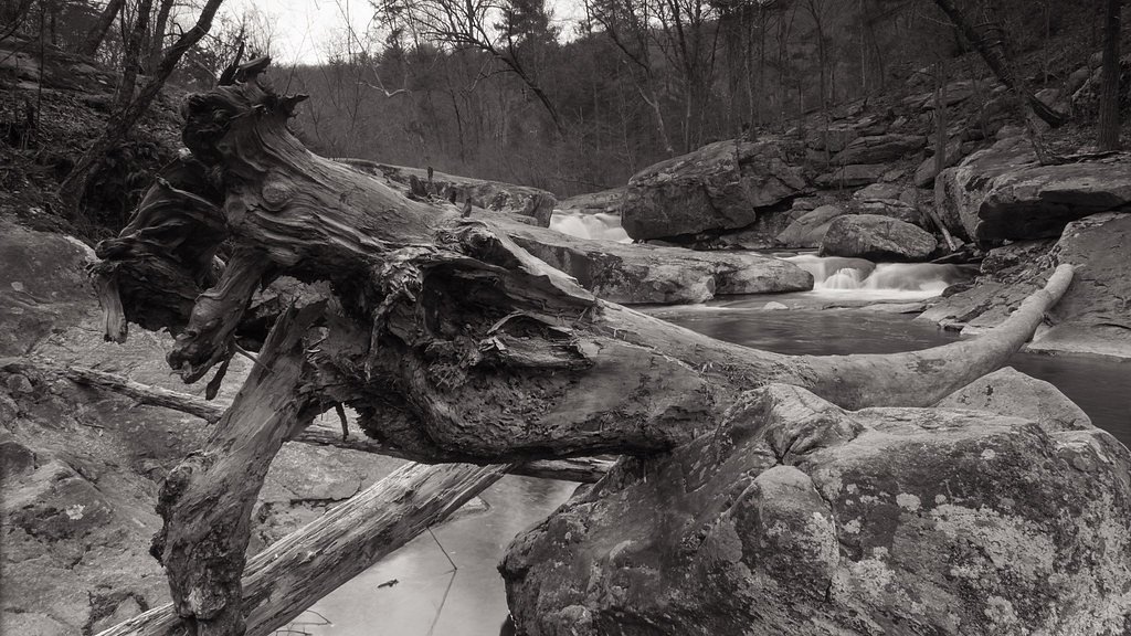 Panther Falls waterfall