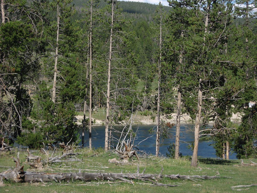 Paradise Falls waterfall