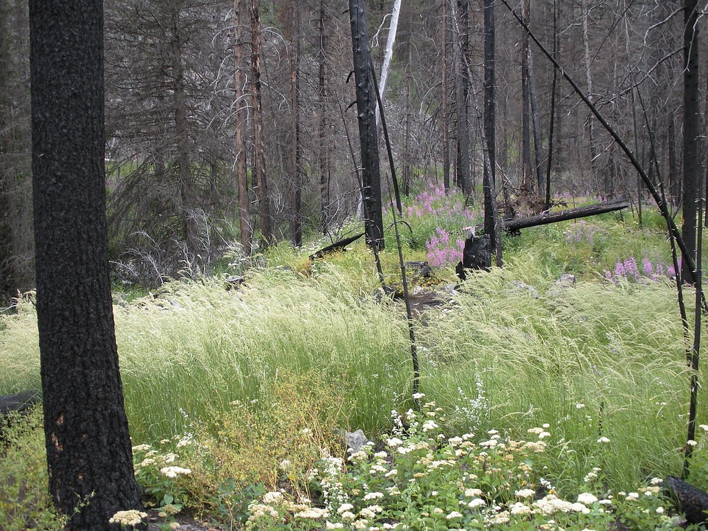 Passage Falls waterfall