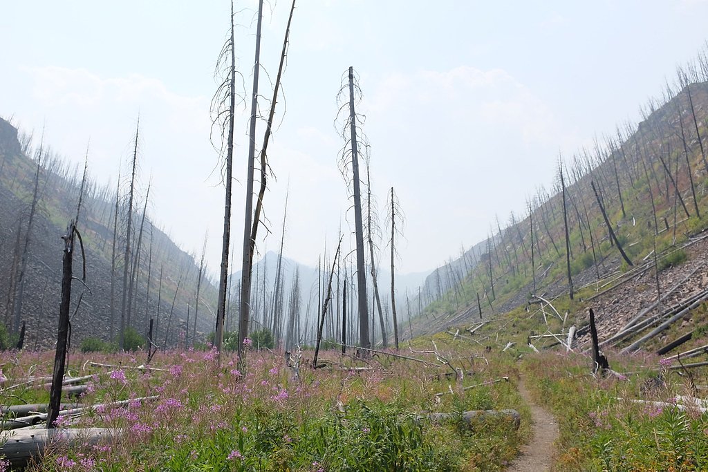 Passage Falls waterfall