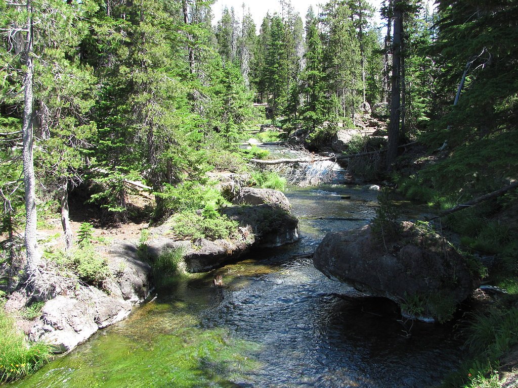 Paulina Creek Falls waterfall