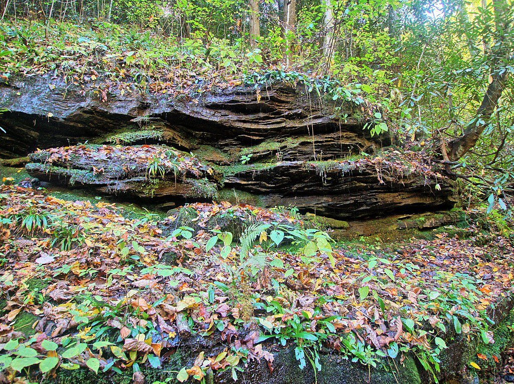 Pearsons Falls waterfall