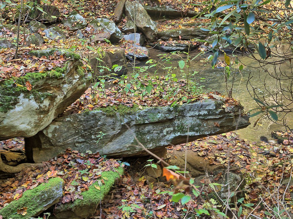 Pearsons Falls waterfall