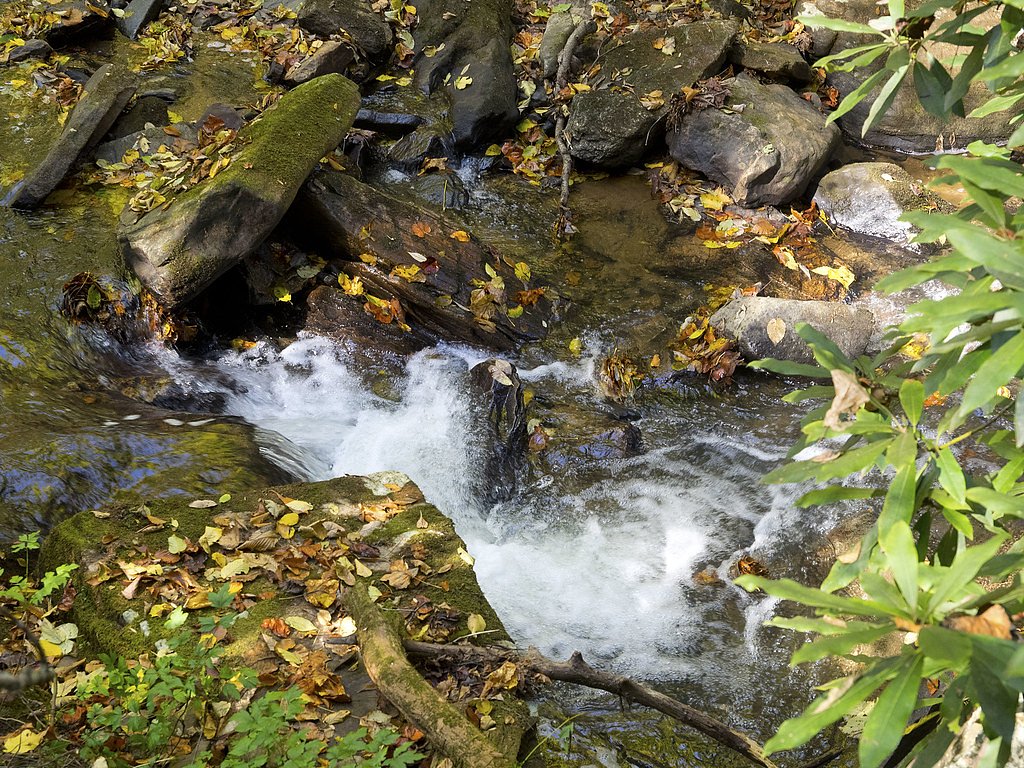 Pearsons Falls waterfall