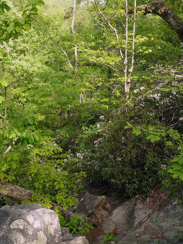 Peavine Falls waterfall