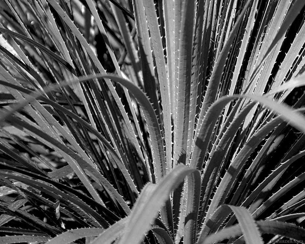 Pedernales Falls waterfall