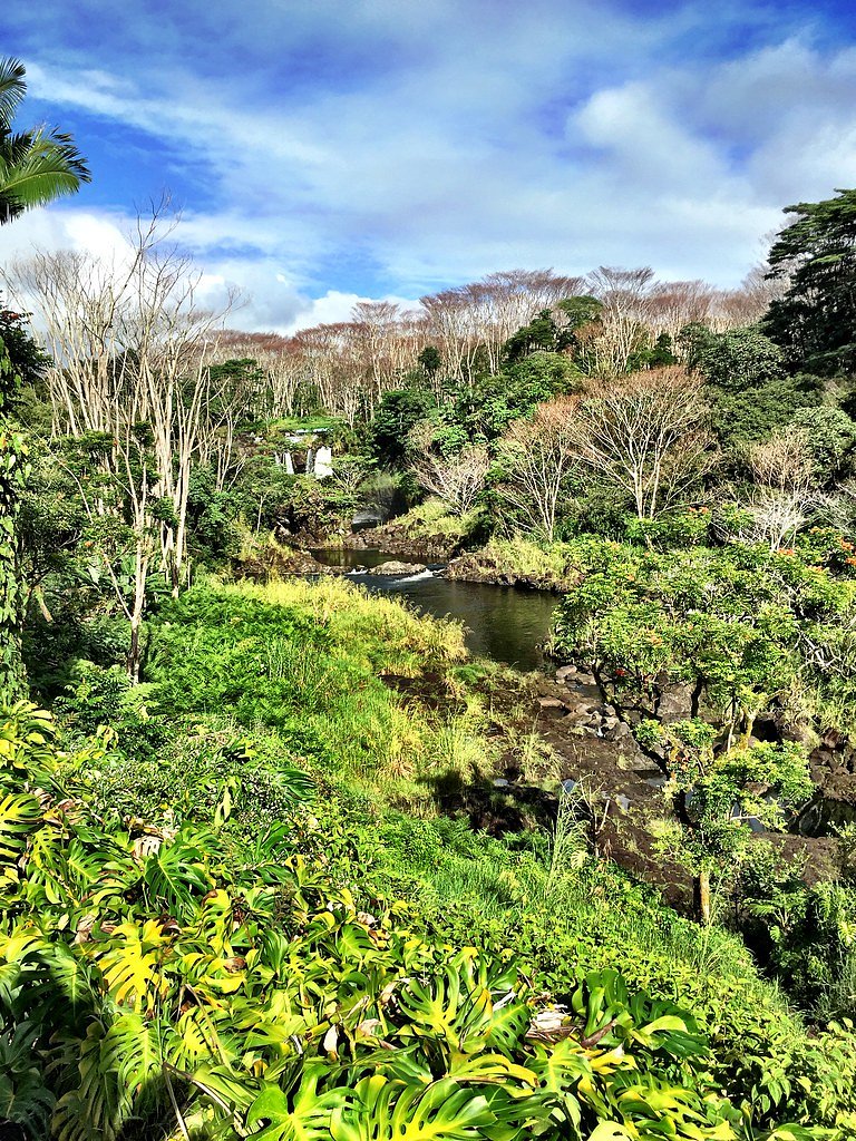 Peepee Falls waterfall