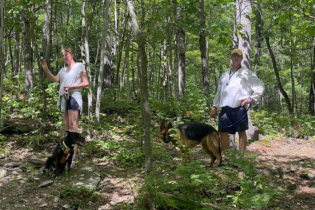 Piers Gorge Falls waterfall
