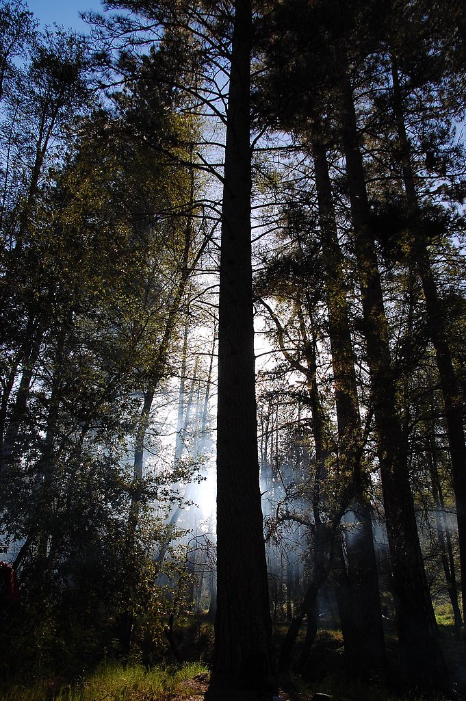 Pine Falls waterfall