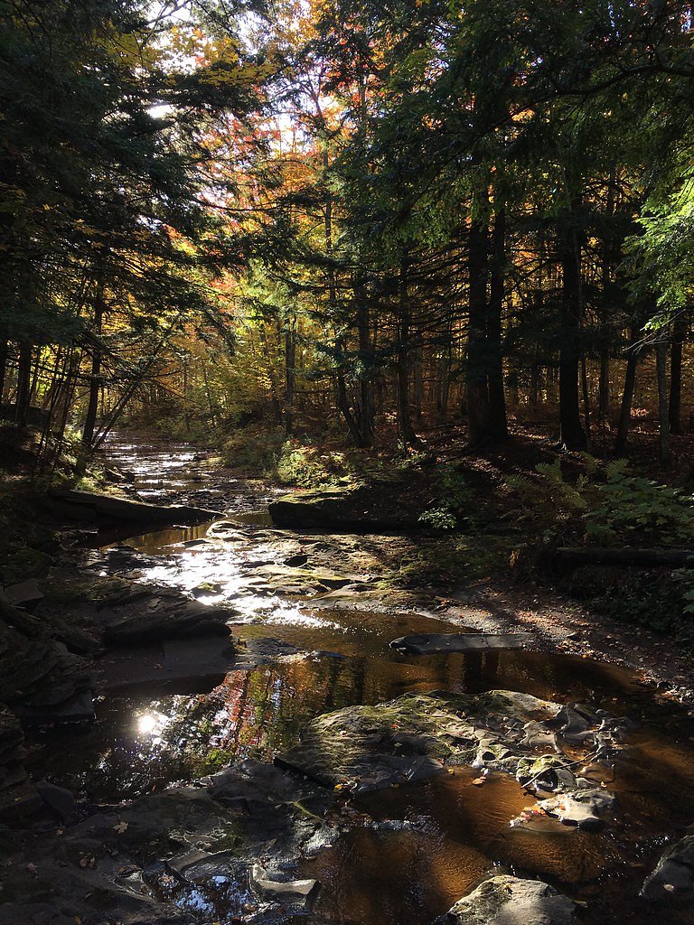 Pinkerton Falls waterfall