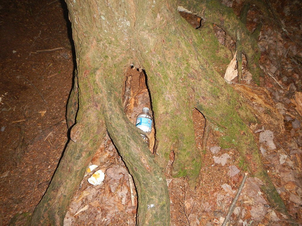 Pinkerton Falls waterfall