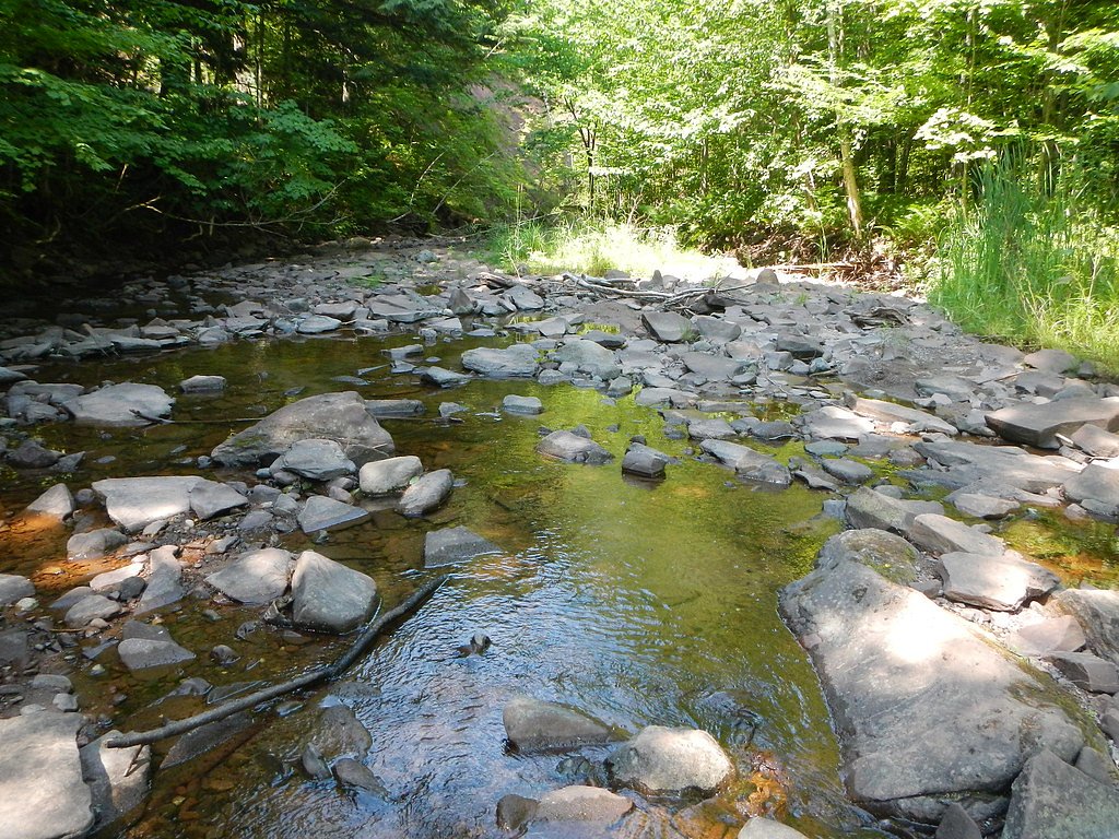 Pinkerton Falls waterfall