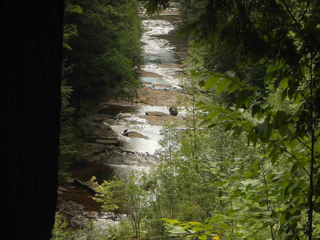 Pinkerton Falls waterfall