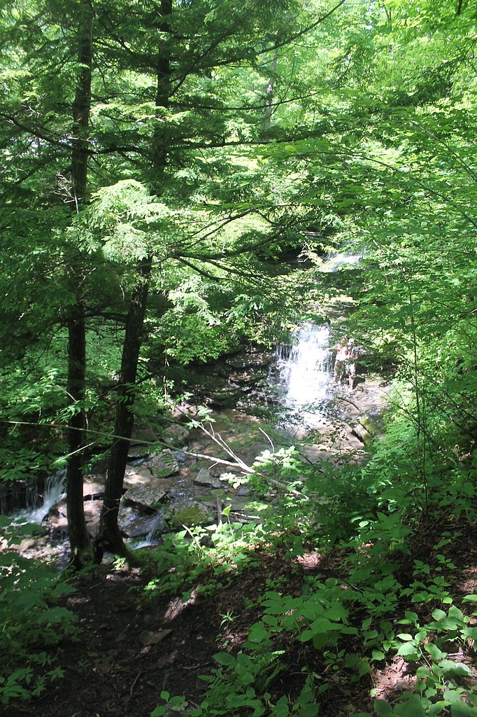 Pixley Falls waterfall