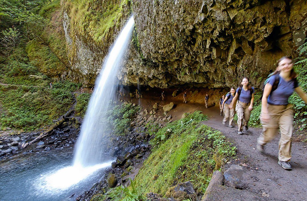 Ponytail Falls waterfall
