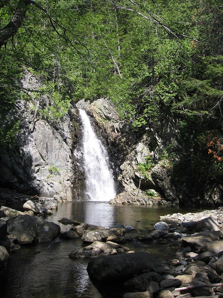 Poplar Stream Falls waterfall