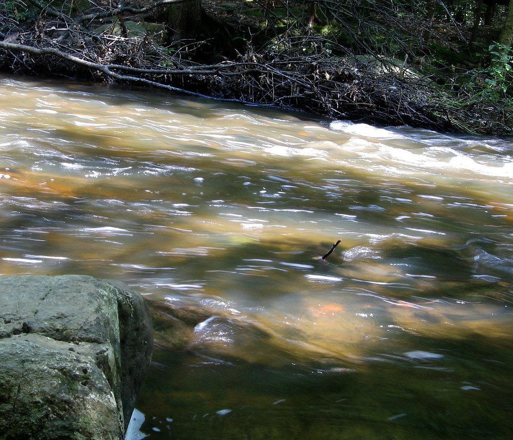 Pottersville Falls waterfall