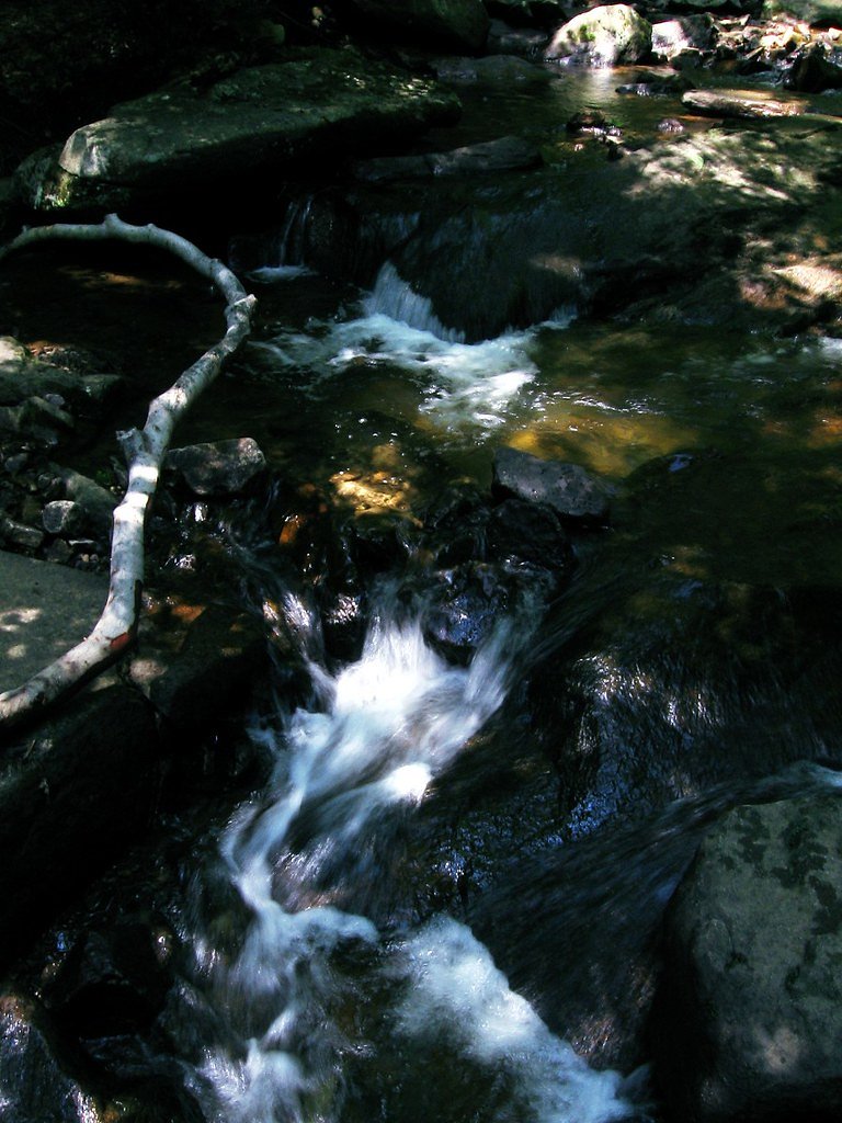 Pottersville Falls waterfall