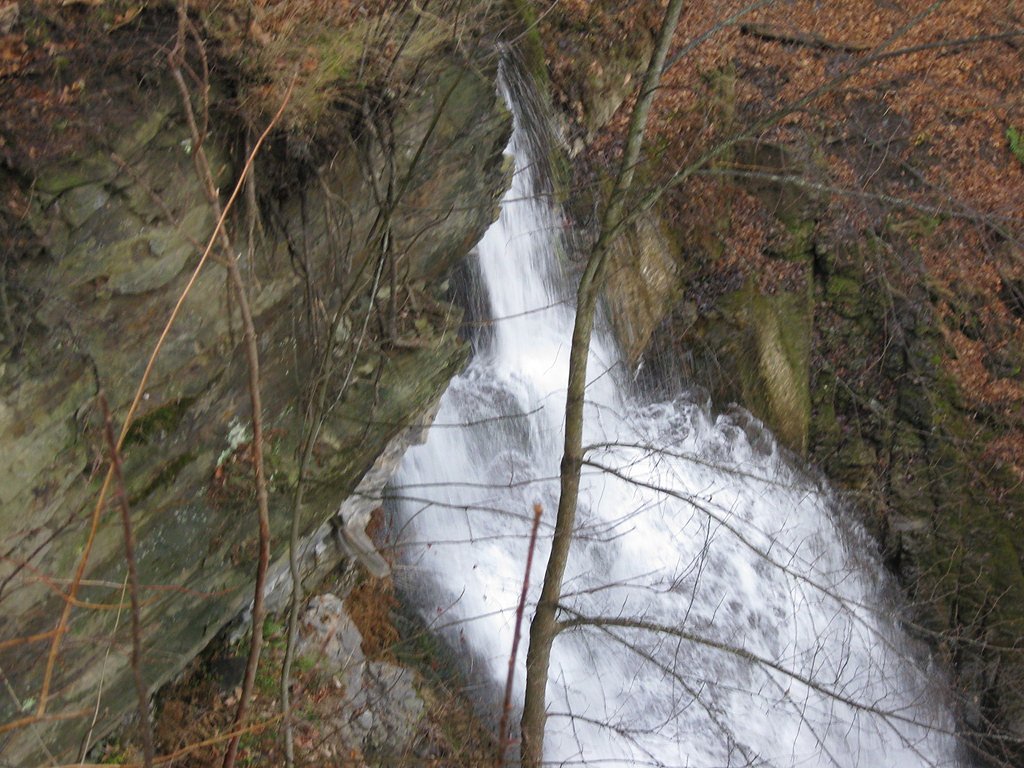 Pratts Falls waterfall