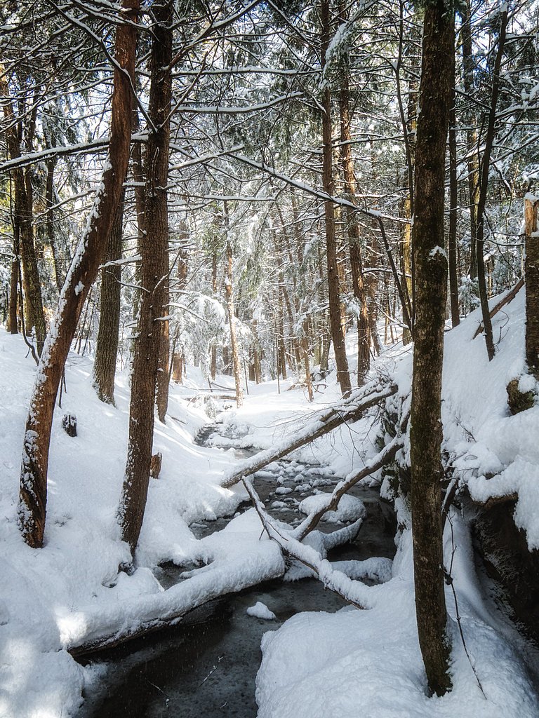 Presumpscot Falls waterfall