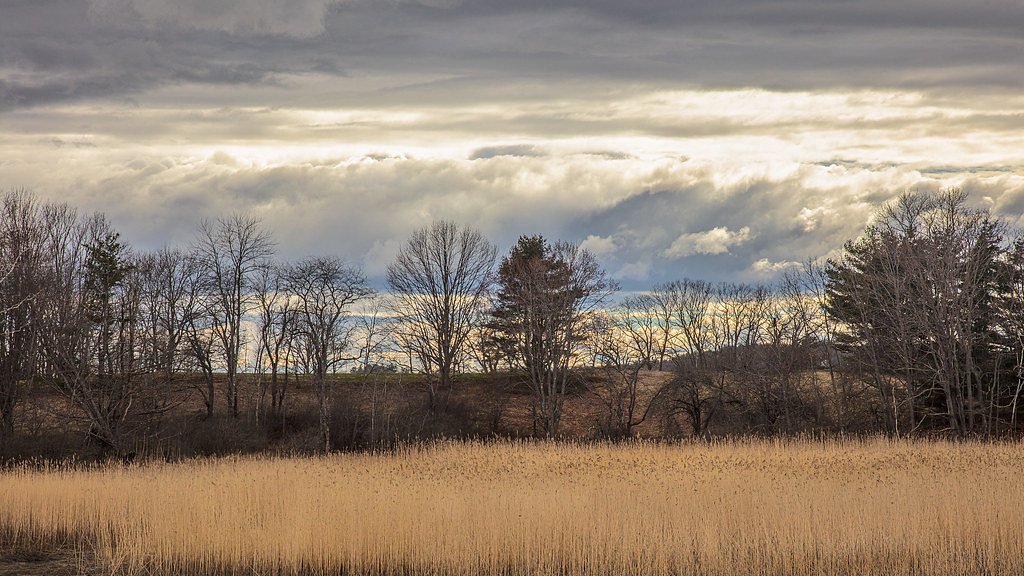 Presumpscot Falls waterfall