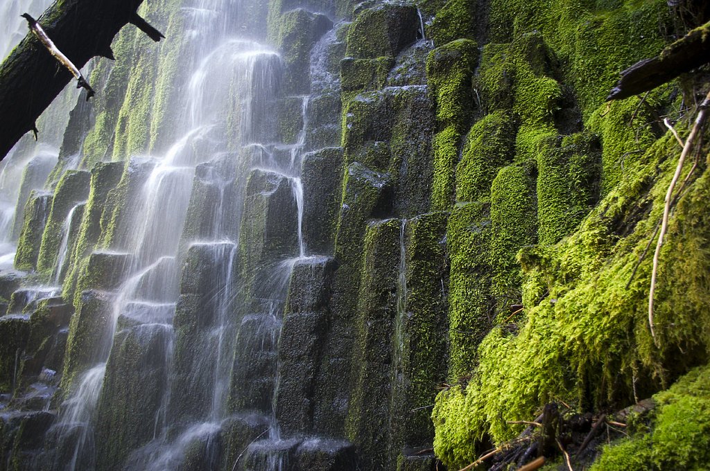 Proxy Falls waterfall