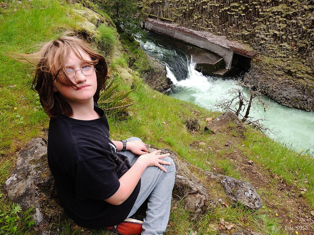 Punchbowl Falls waterfall