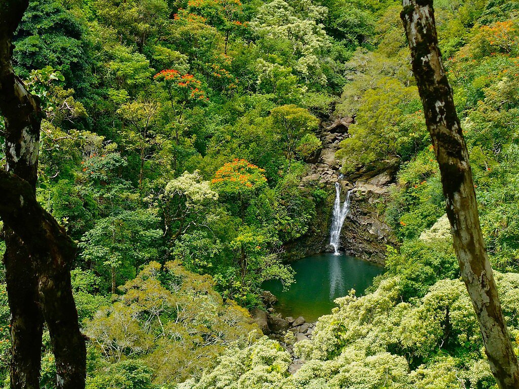Puohokamoa Falls waterfall