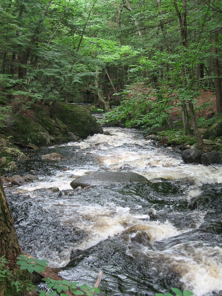 Purgatory Falls waterfall