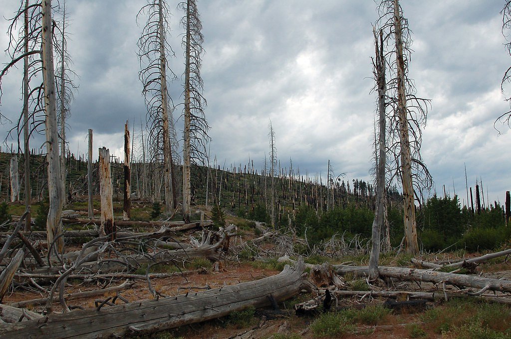Rainbow Falls waterfall