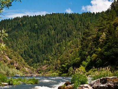 Rainie Falls
