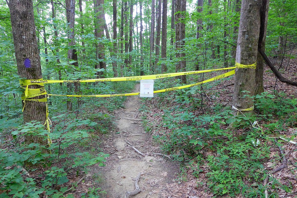 Raven Cliff Falls waterfall