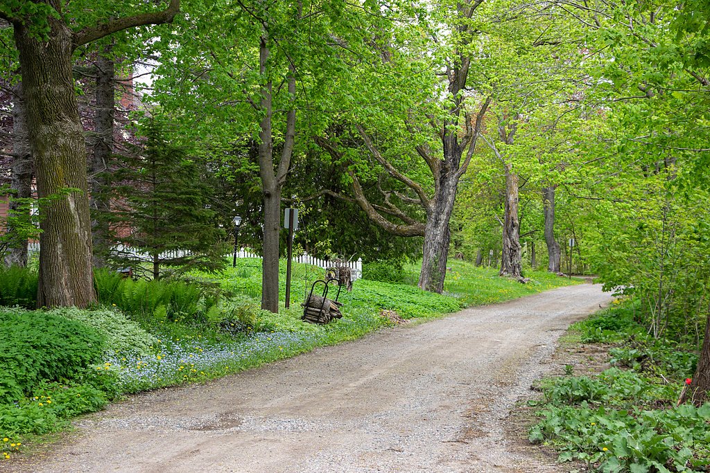 Ravine River Falls waterfall