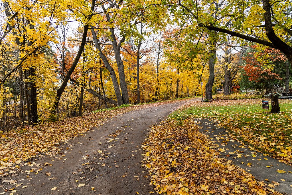 Ravine River Falls waterfall