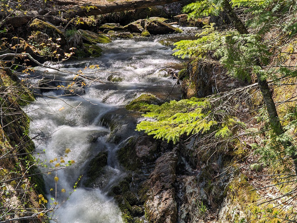 Reany Falls waterfall