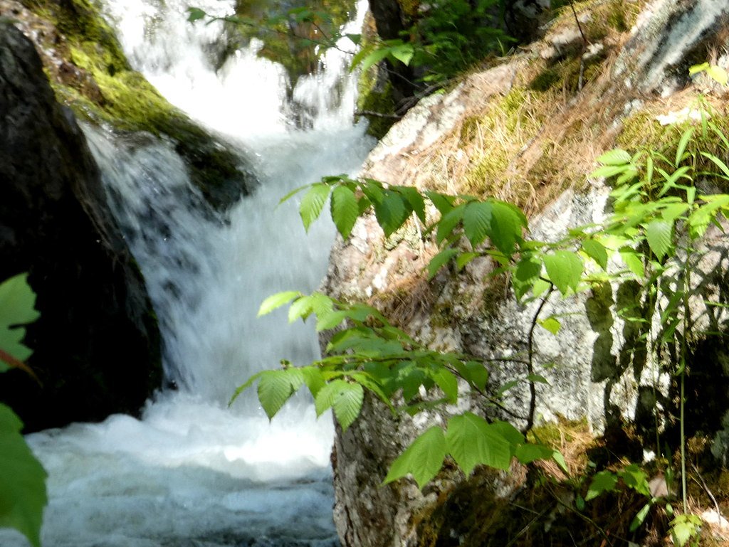 Reany Falls waterfall