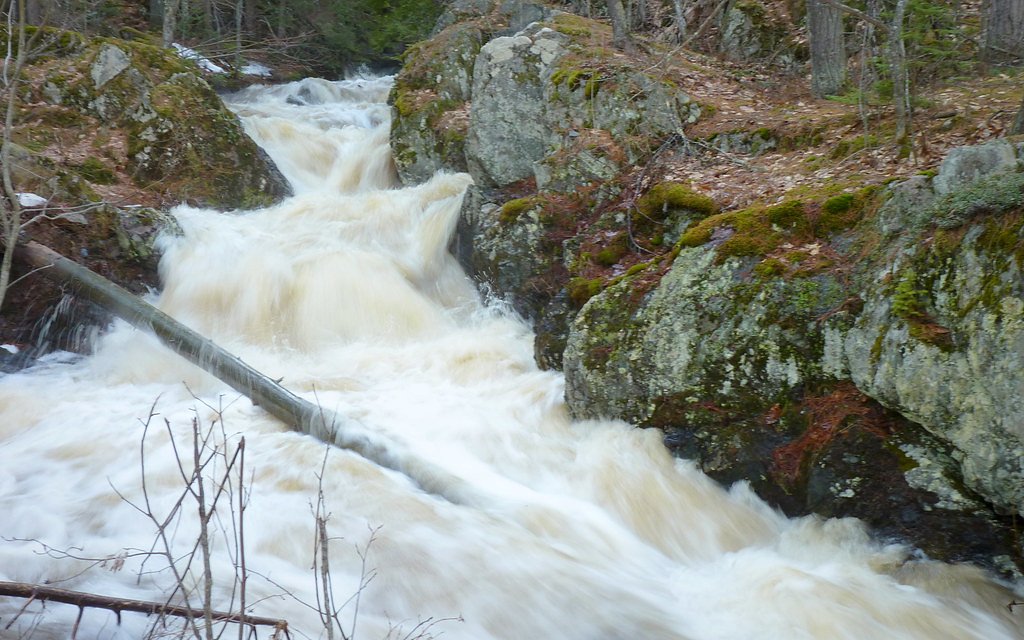 Reany Falls waterfall