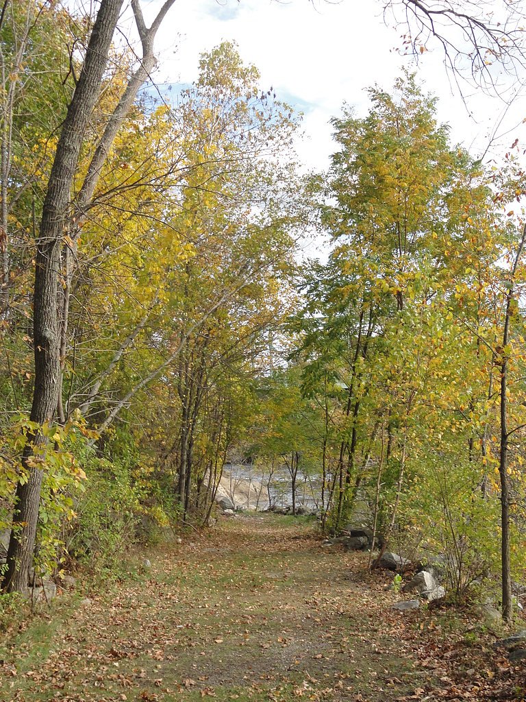 Red River Falls waterfall