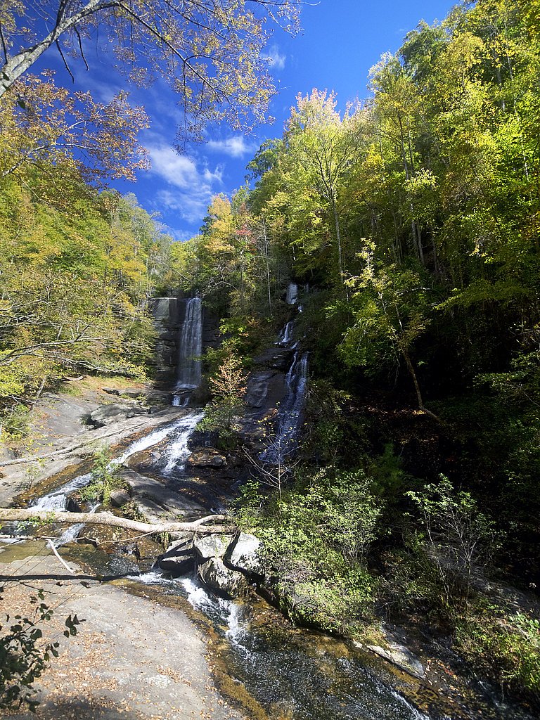 Reedy Cove Falls waterfall