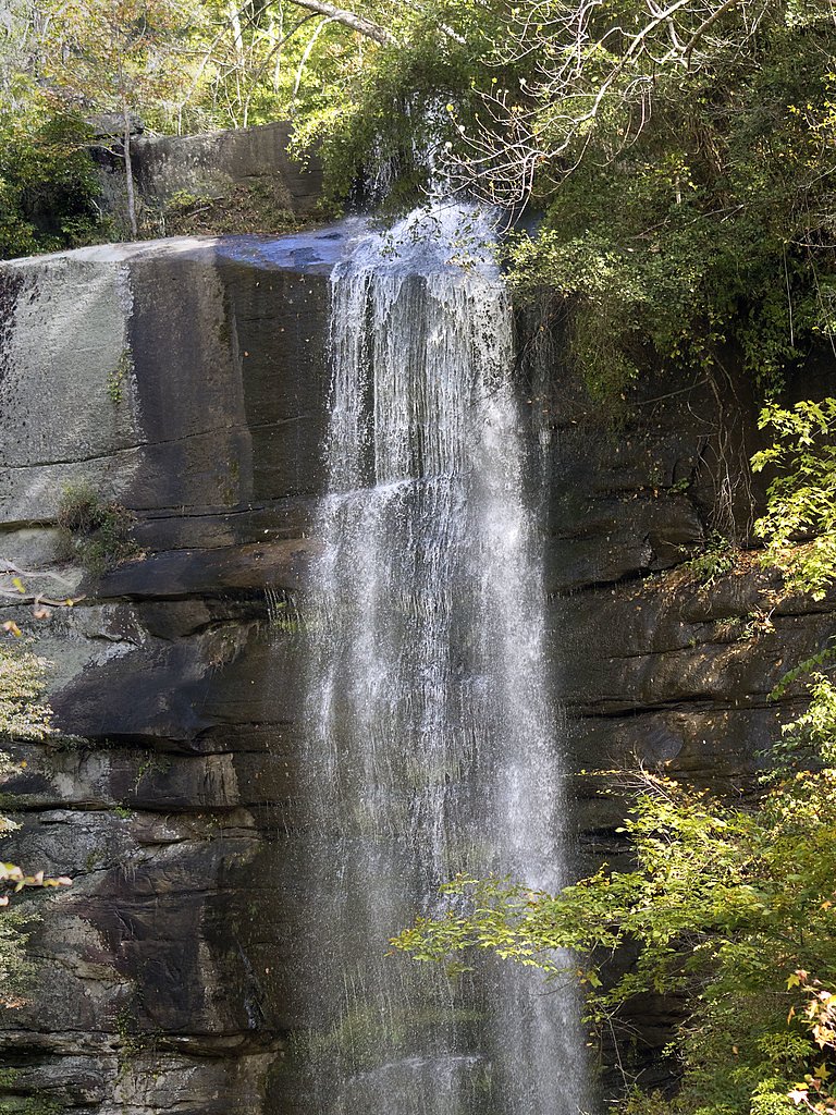 Reedy Cove Falls waterfall